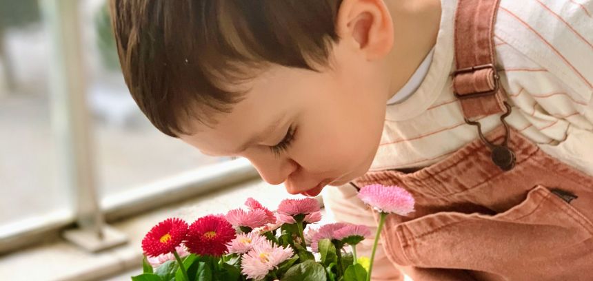 La importancia de enseñar a los niños a cuidar las plantas